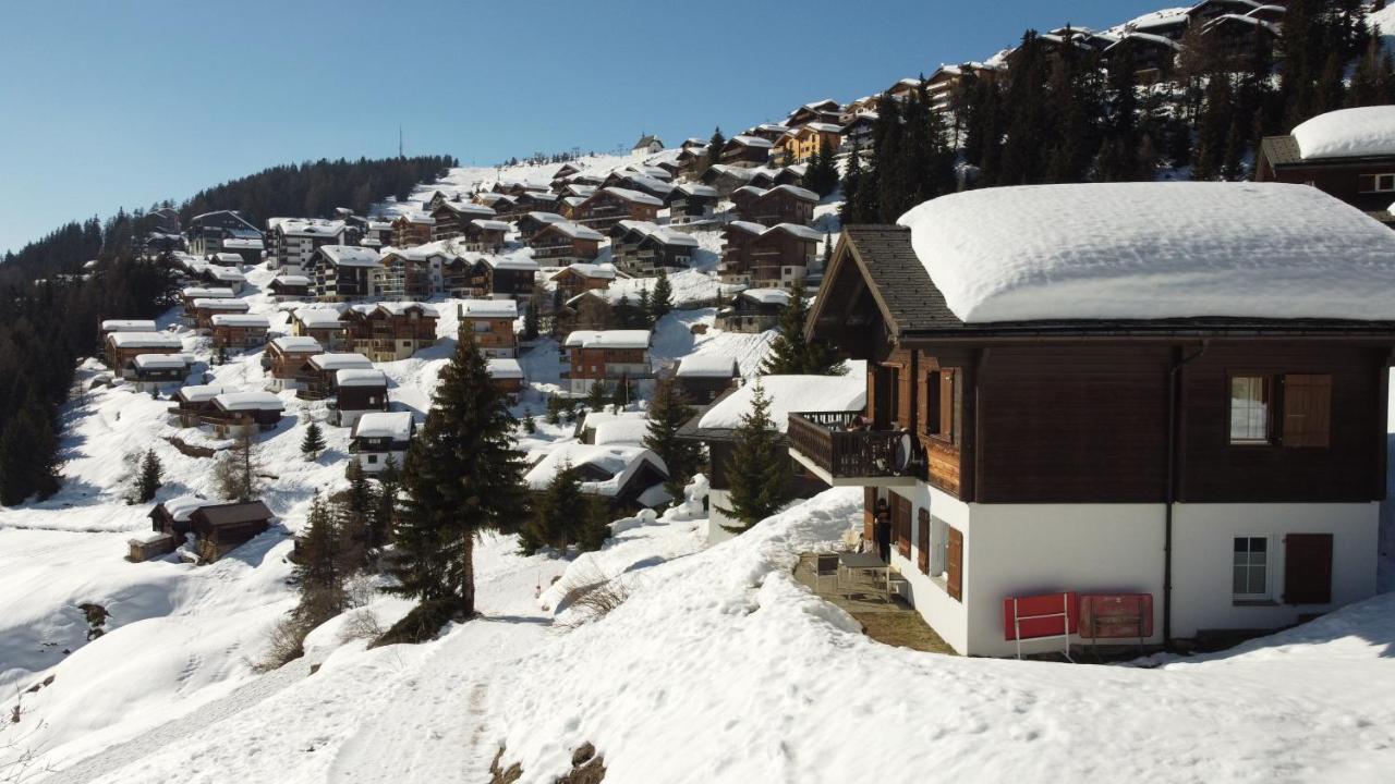 Chalet Foresta Bettmeralp Esterno foto