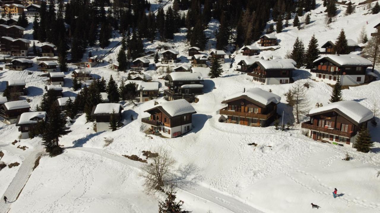 Chalet Foresta Bettmeralp Esterno foto