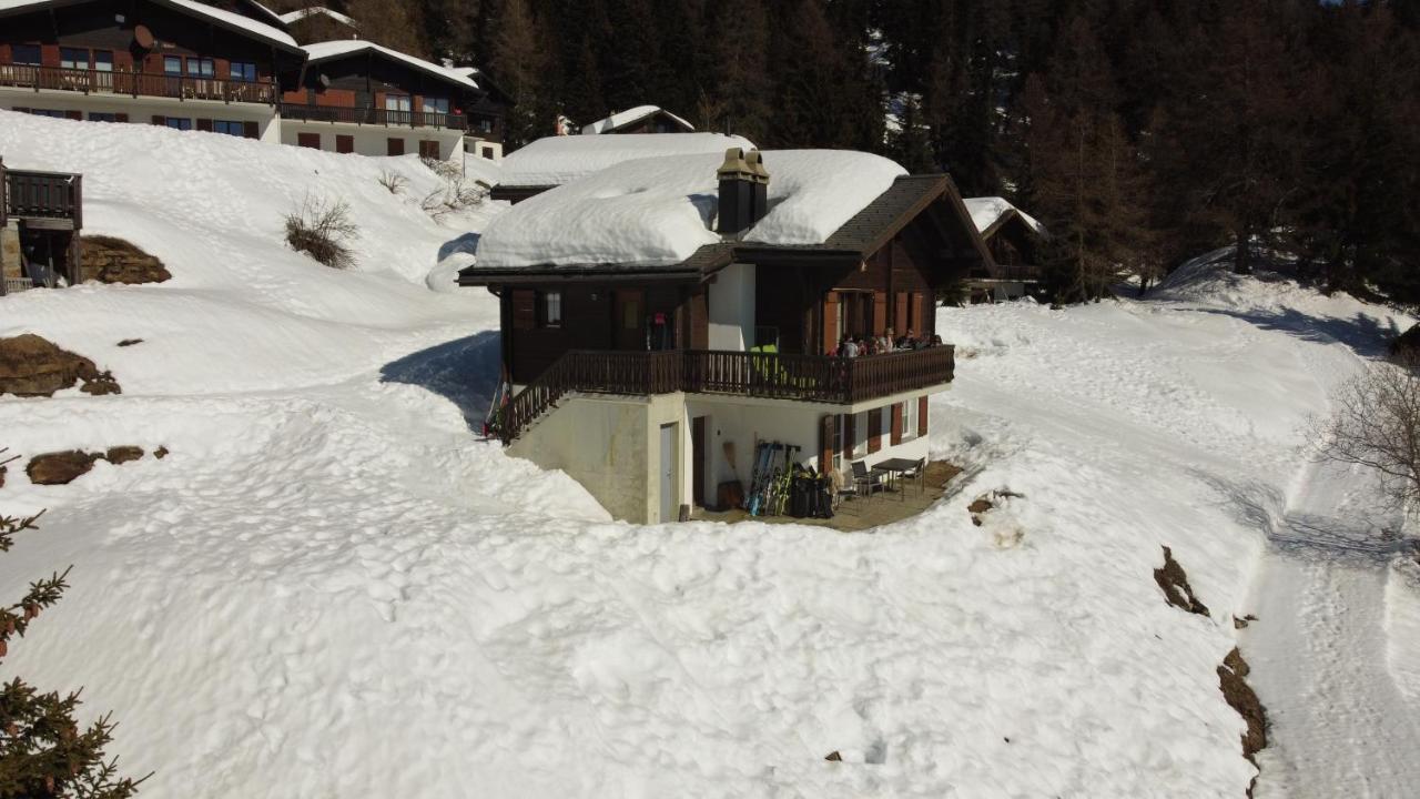 Chalet Foresta Bettmeralp Esterno foto