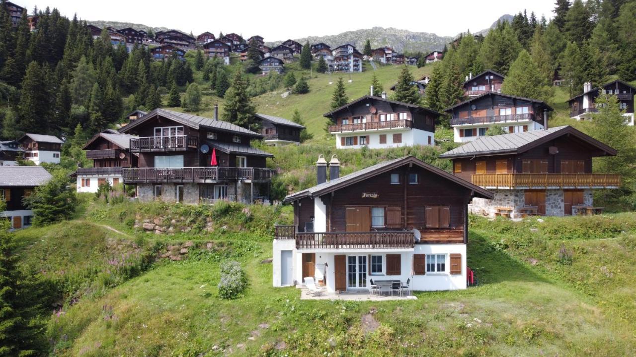 Chalet Foresta Bettmeralp Esterno foto