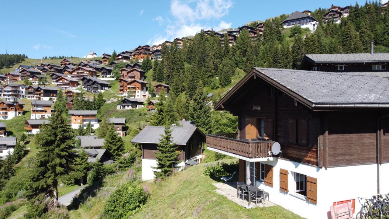 Chalet Foresta Bettmeralp Esterno foto