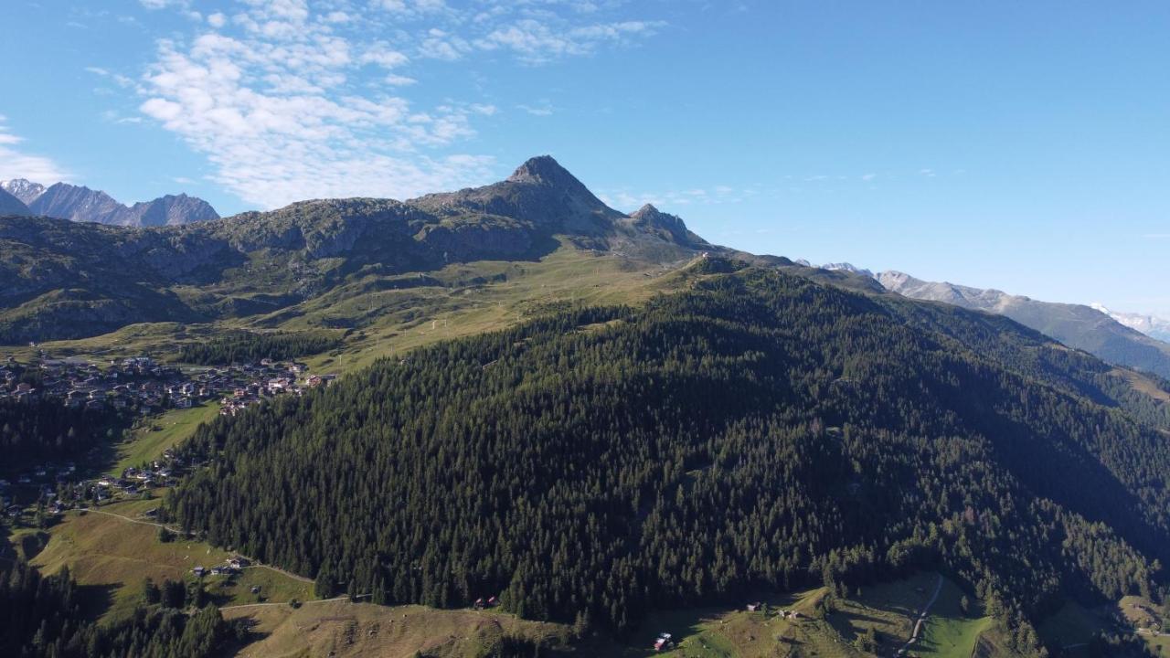 Chalet Foresta Bettmeralp Esterno foto
