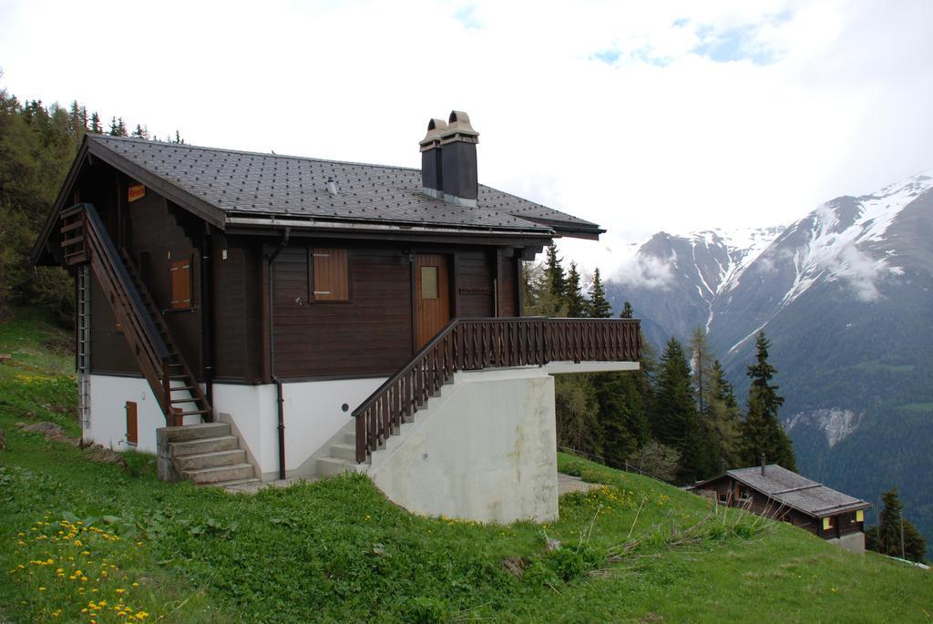 Chalet Foresta Bettmeralp Esterno foto