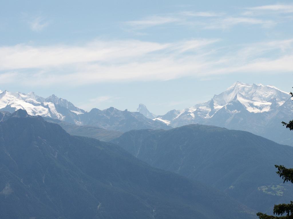 Chalet Foresta Bettmeralp Esterno foto