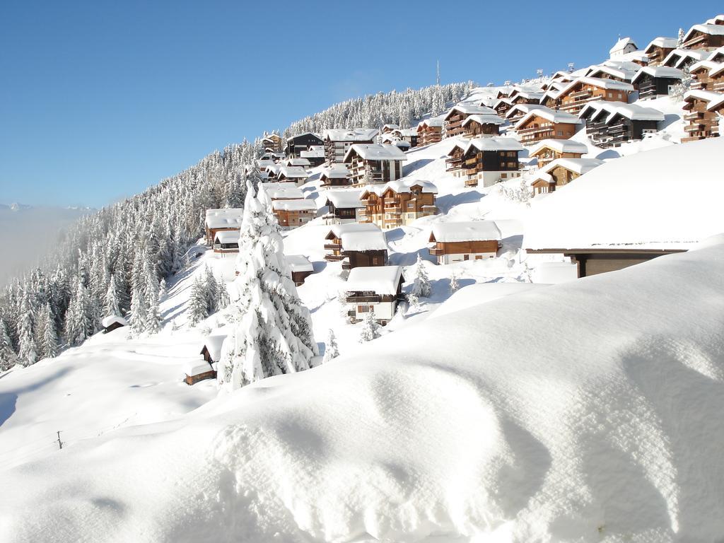 Chalet Foresta Bettmeralp Esterno foto