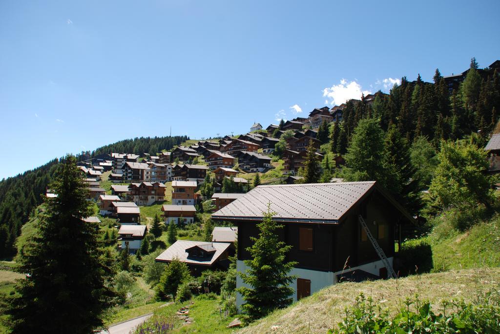 Chalet Foresta Bettmeralp Esterno foto