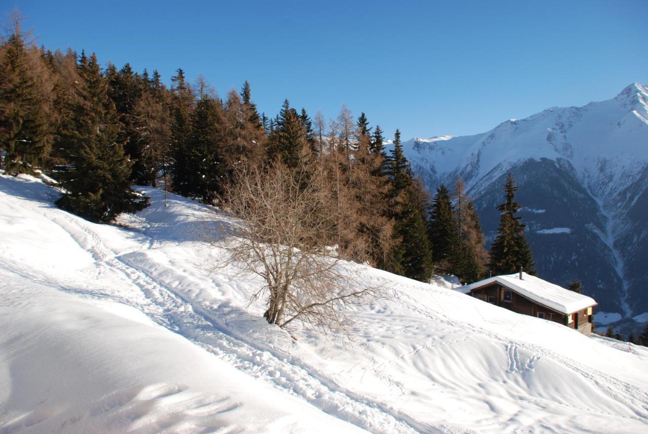 Chalet Foresta Bettmeralp Esterno foto