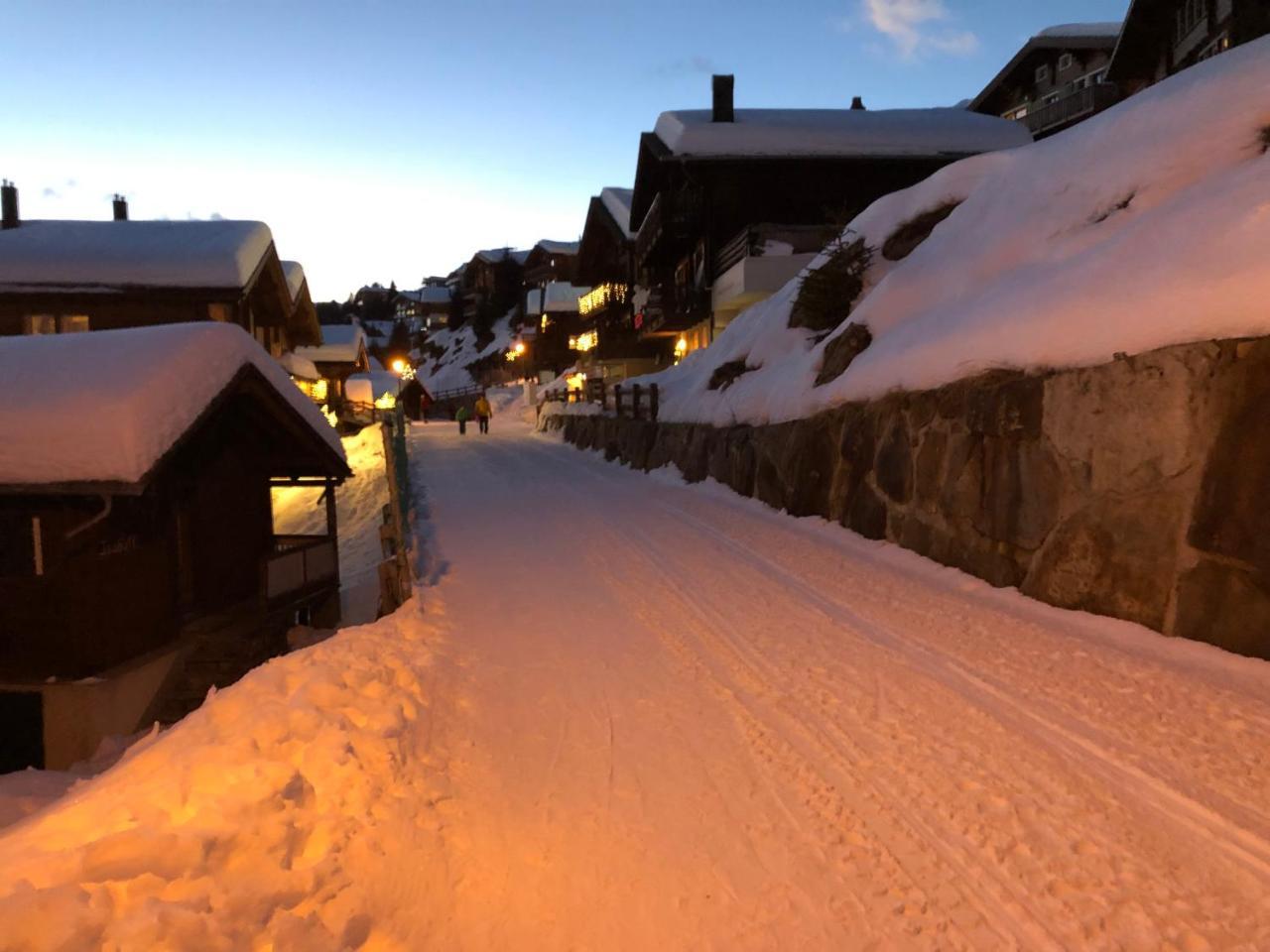 Chalet Foresta Bettmeralp Esterno foto
